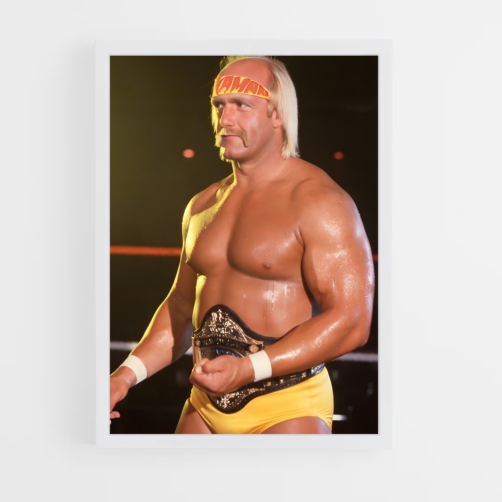 Poster Hulkamania en Action (vue 3)